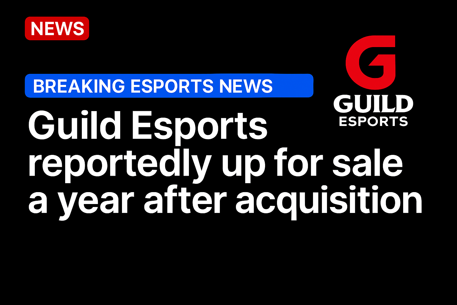 Guild Esports reportedly up for sale a year after acquisition