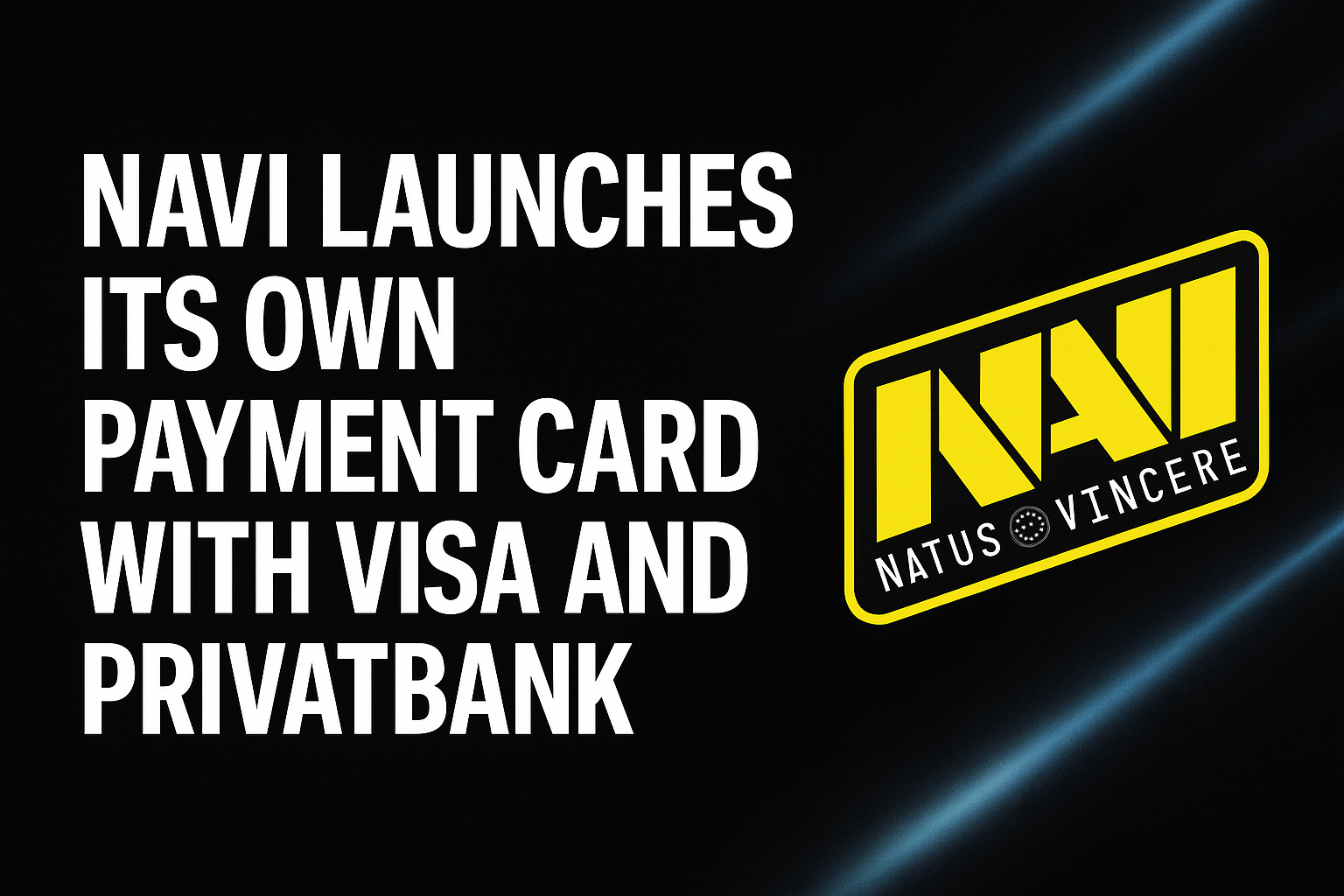NAVI launches its own payment card with Visa and PrivatBank